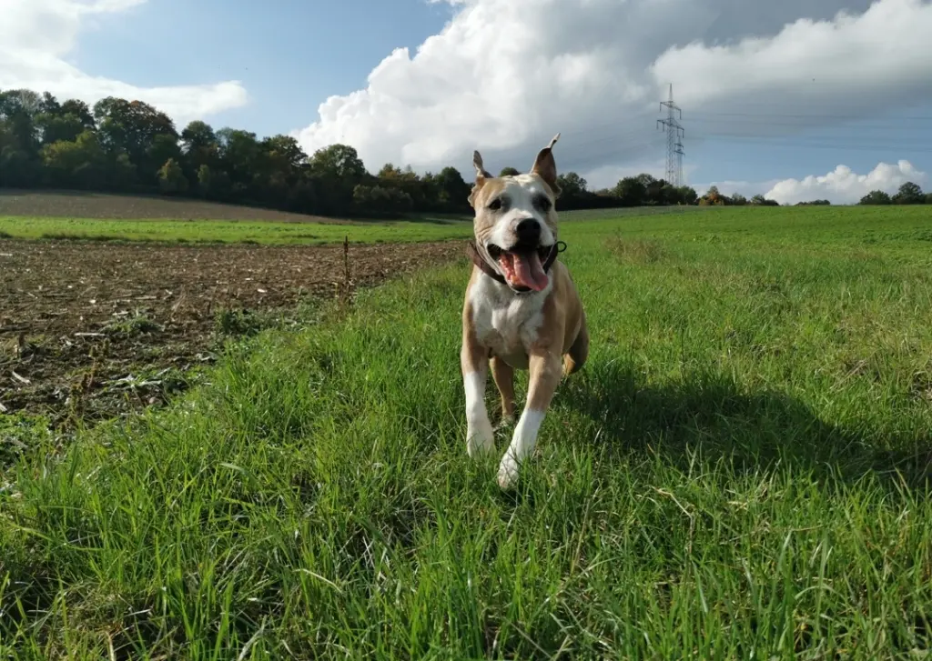 Condolence image of JeLu