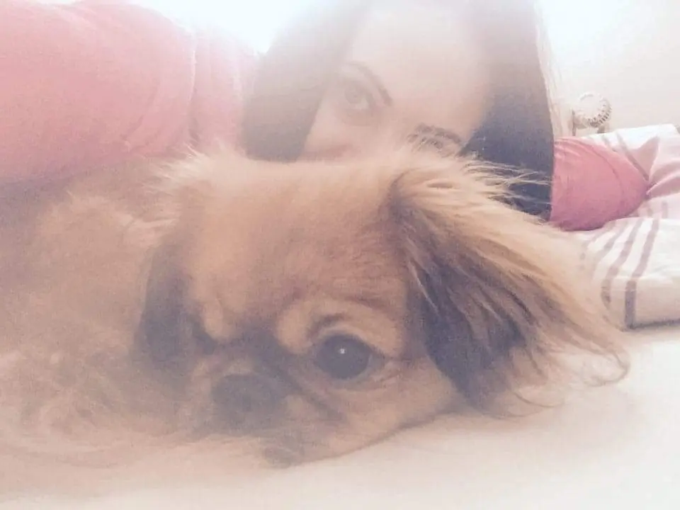 Image from Linzy