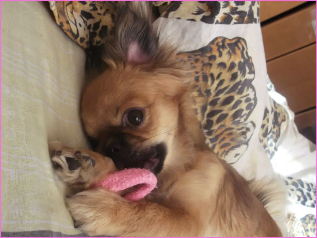 Image from Linzy