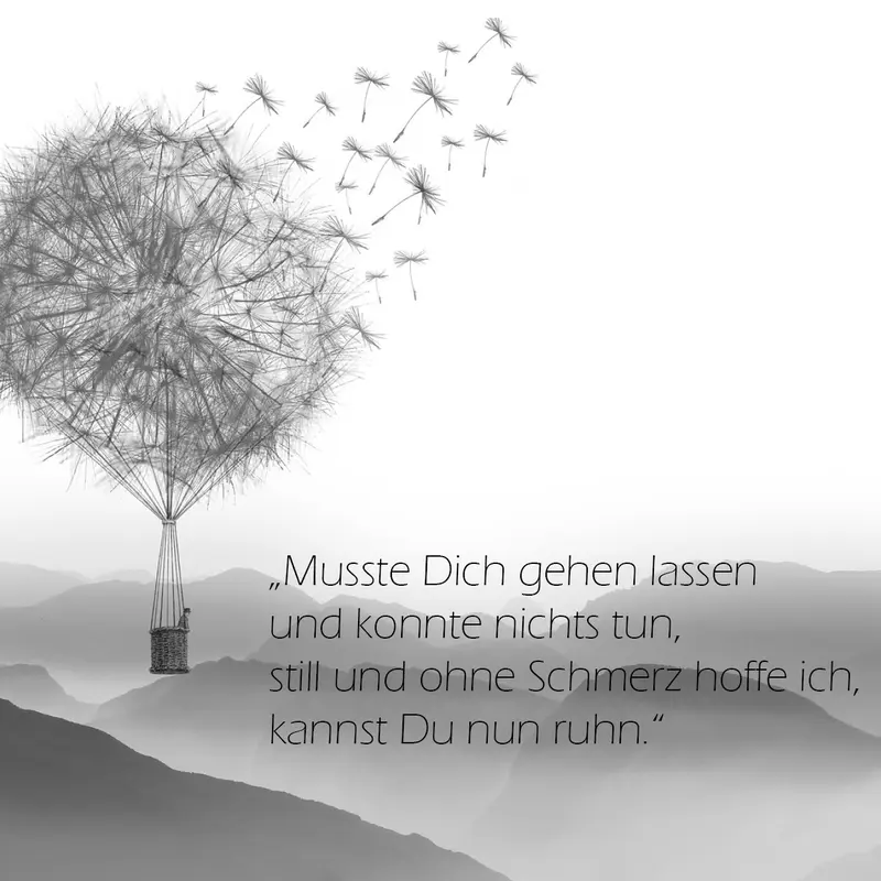 Condolence image of Katrin und Katzi im ❤️