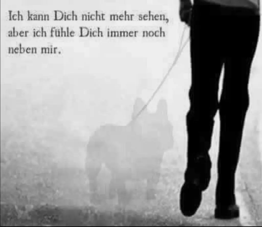 Image from Dasty