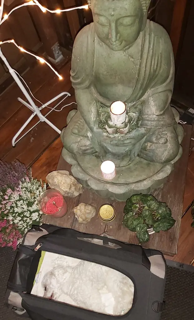 Image from Flo