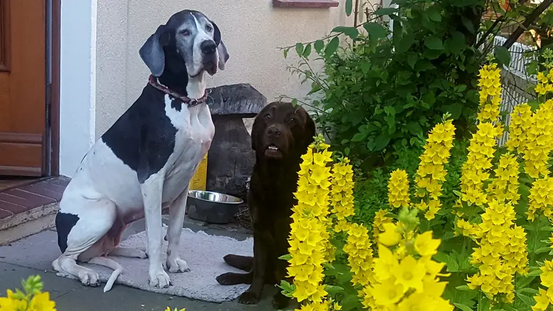 Condolence image of Frauchen & Baby