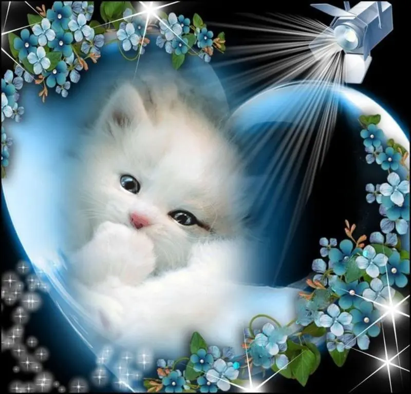 Condolence image of Netti