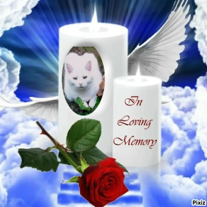 Condolence image of Mami und Netti