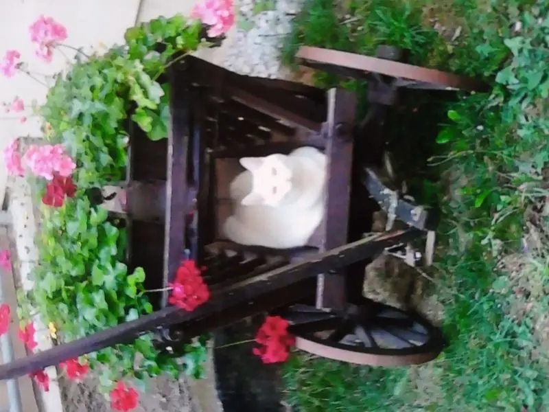 Condolence image of Mami und Netti