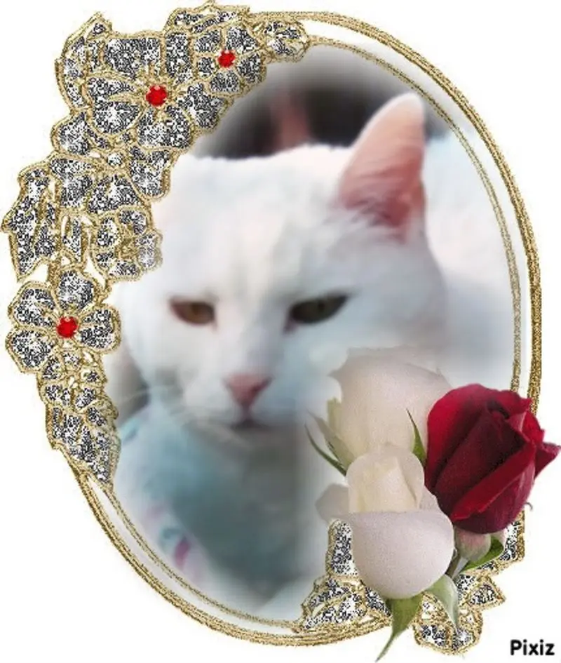 Condolence image of Mami und Netti