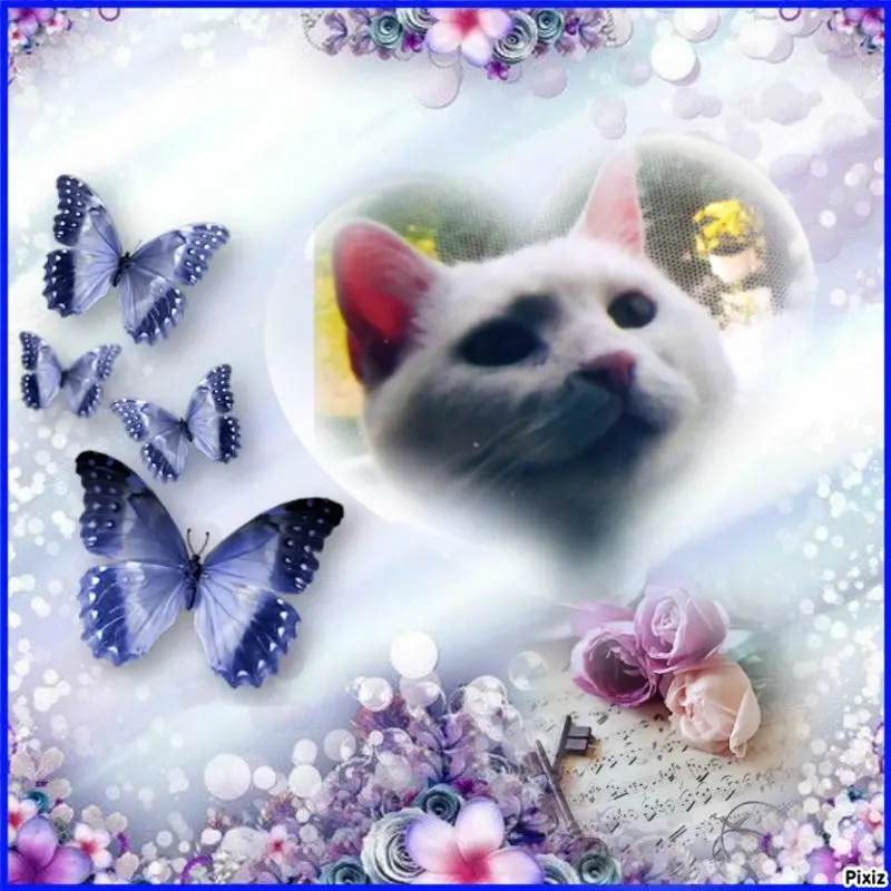 Condolence image of Mami und Netti♥️