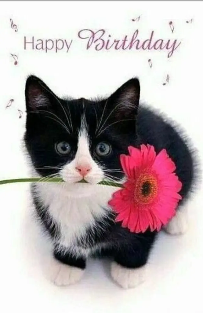 Condolence image of Andrea mit Minki im ❤