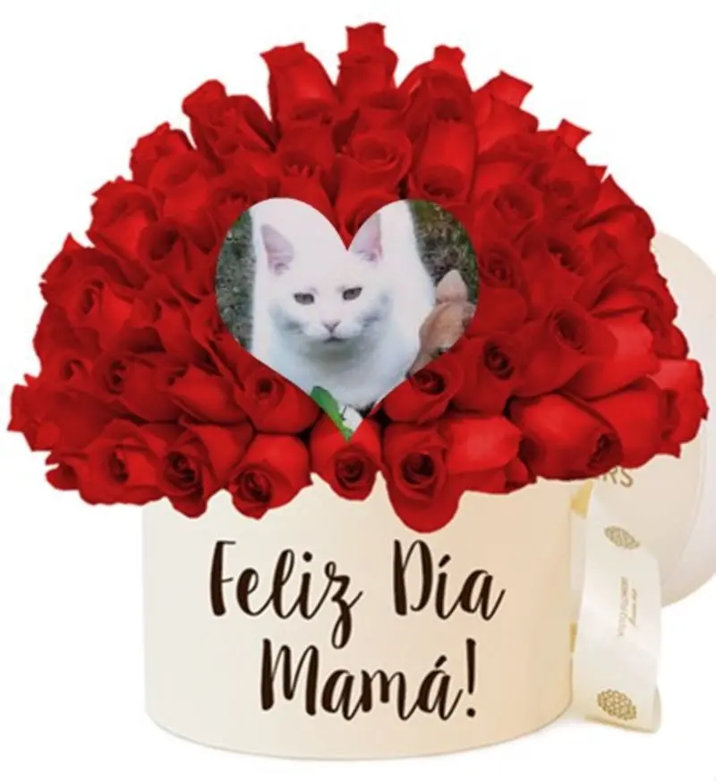 Condolence image of ❤️Mama❤️