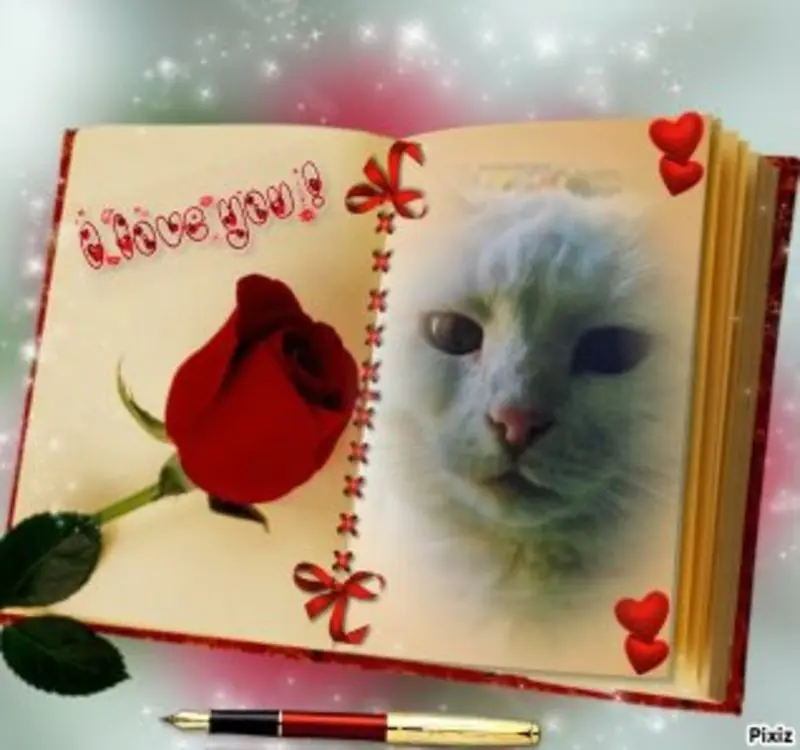 Condolence image of Mami und Netti♥️