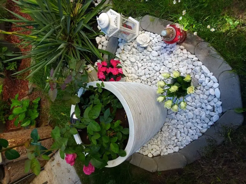 Condolence image of Für unsere Liesl❤️
