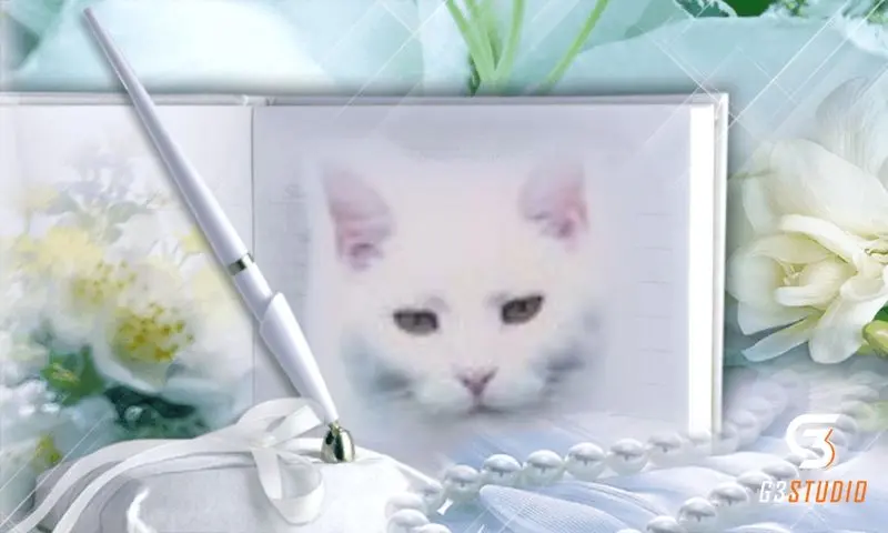 Condolence image of Sternchenpost ⭐