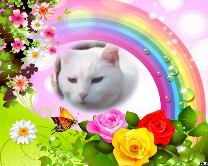 Condolence image of Für unser Lieschen ♥️