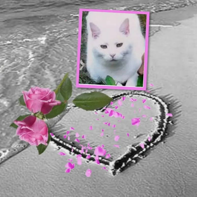 Condolence image of ❤️❤️❤️❤️❤️❤️❤️❤️❤️❤️❤️❤️❤️❤️