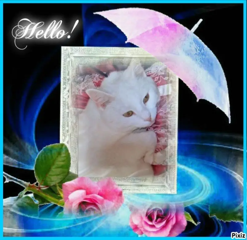 Condolence image of Sternchenpost ⭐