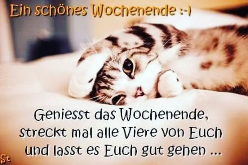 Condolence image of Post von Timmy an Lissy und Sisi 