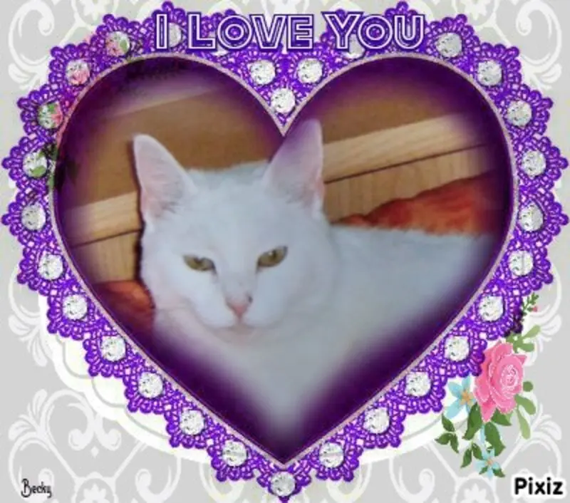 Condolence image of Für unsere kleine Liesl ♥️