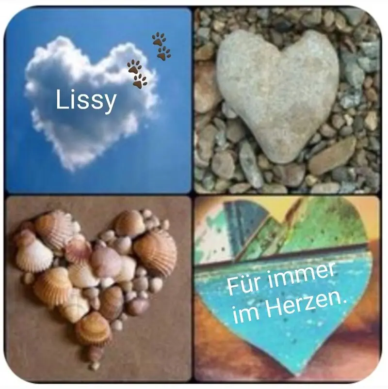 Condolence image of Unbekannt