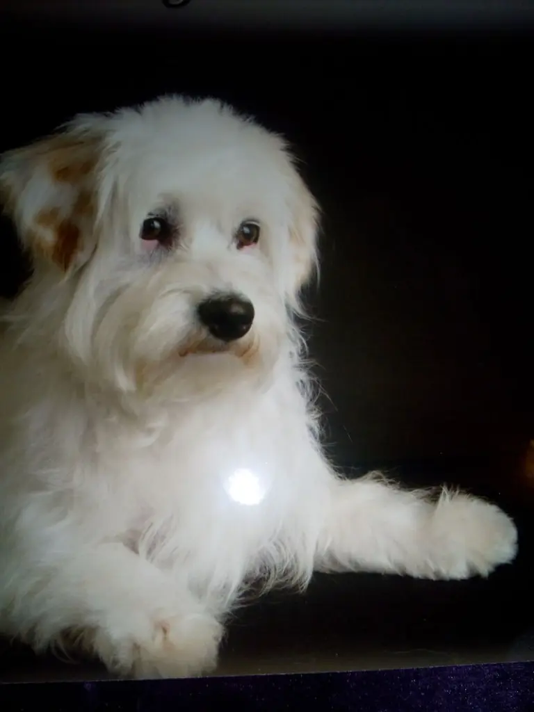 Condolence image of Sonja 