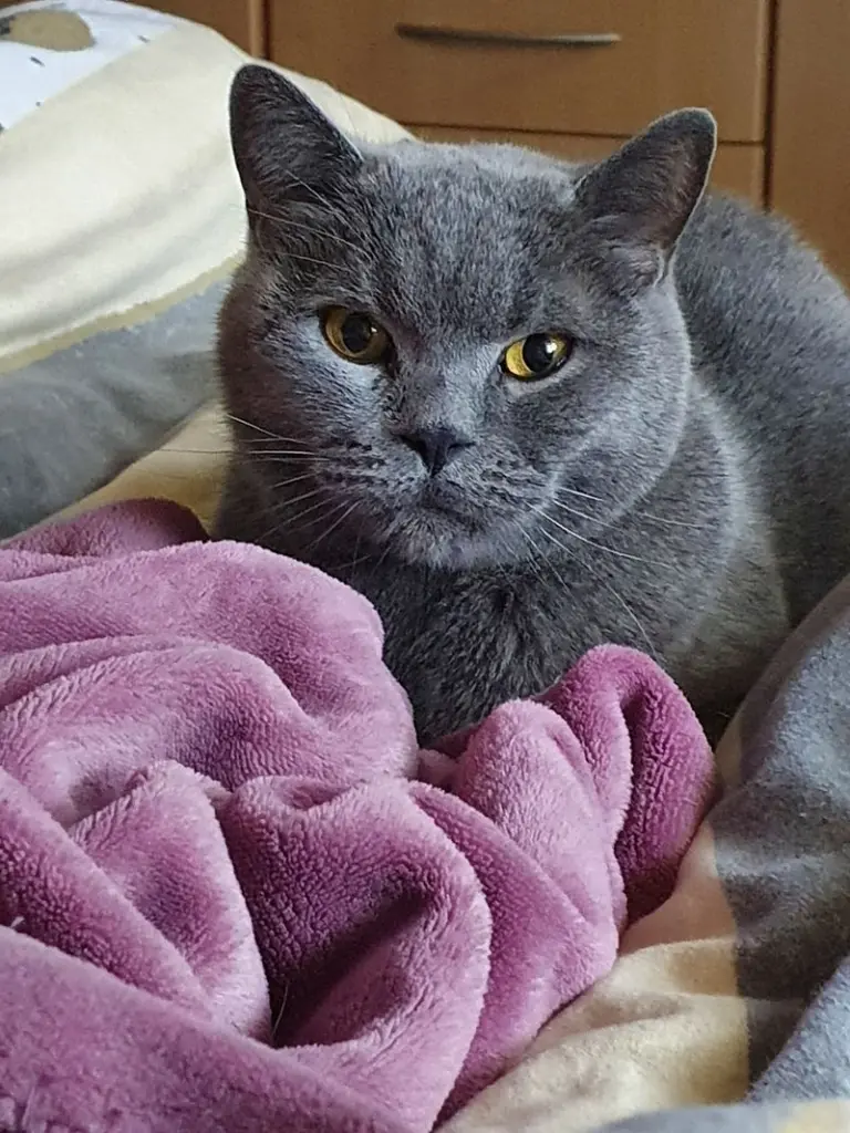 Condolence image of Bettina
