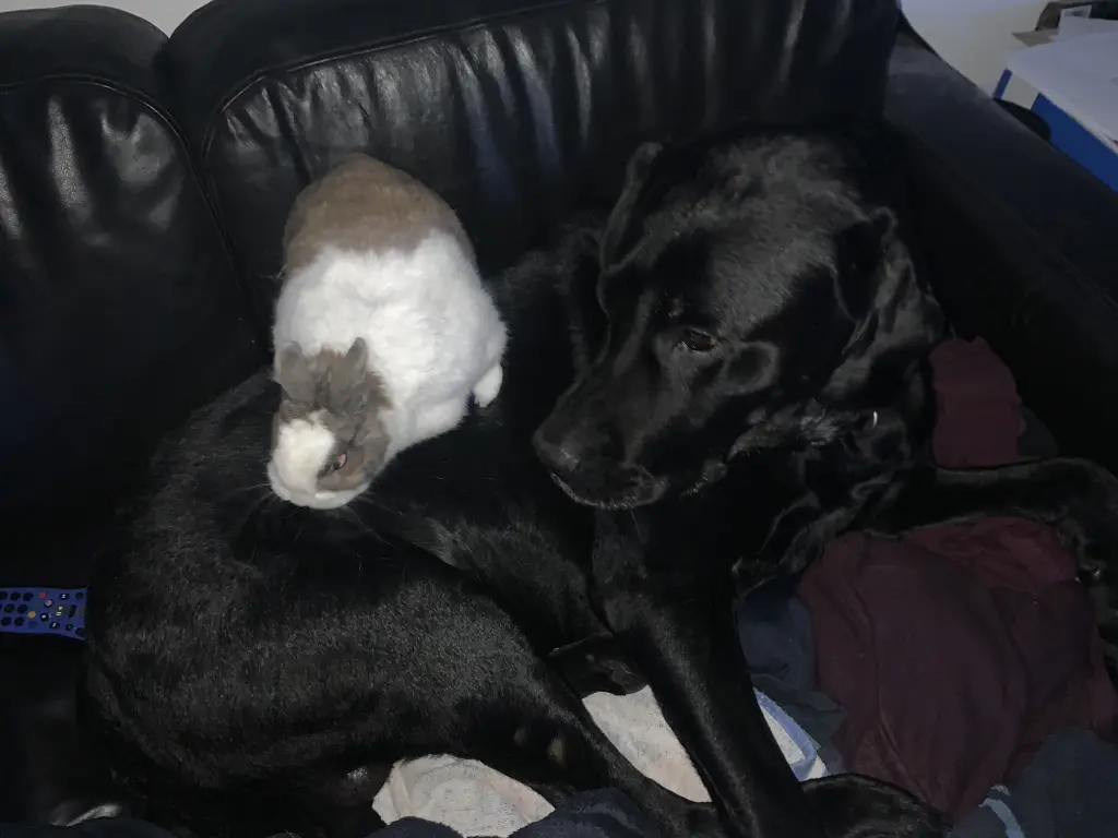 Image from Milow