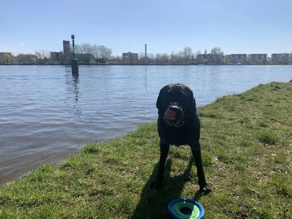Image from Milow