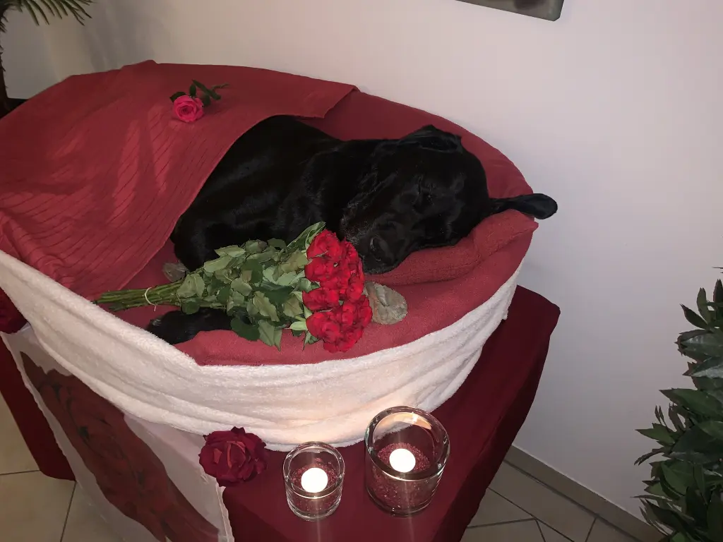Image from Milow