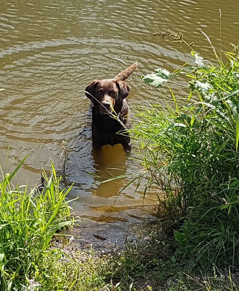 Andachtsbild von Silvana