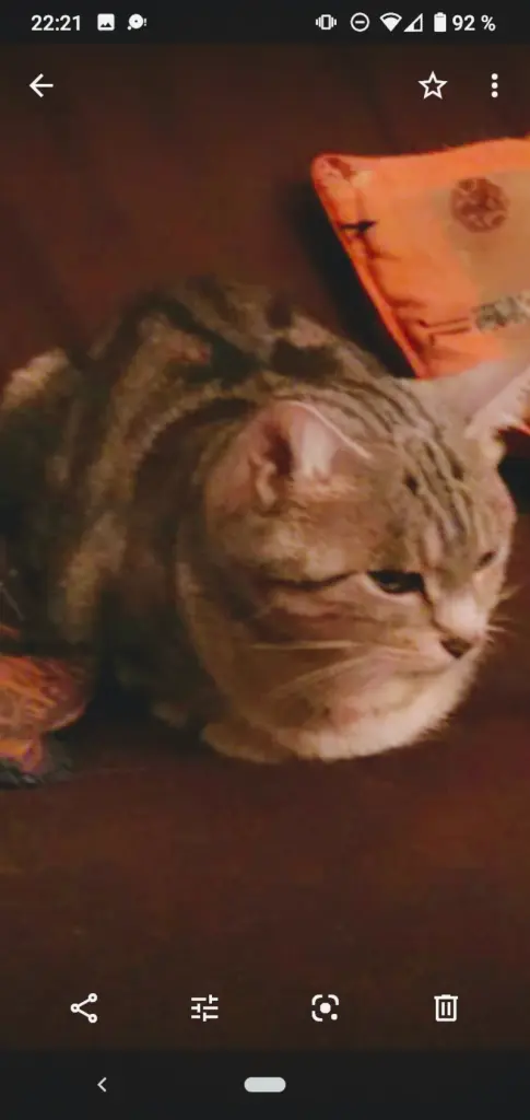 Andachtsbild von Katrin und Katzi im ❤️