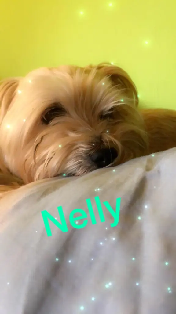 Image from Nelly