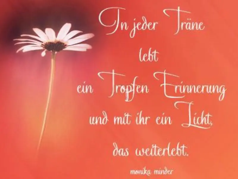 Condolence image of Andrea mit Minki im ❤ gest.19.10.2020
