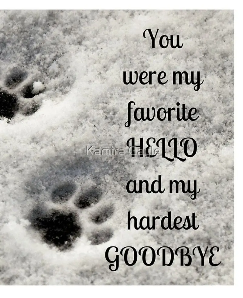 Condolence image of Katrin und Katzi im ❤️