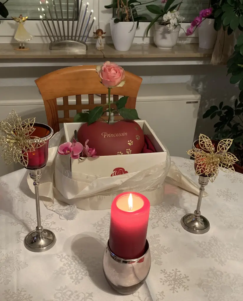 Image from Princessin