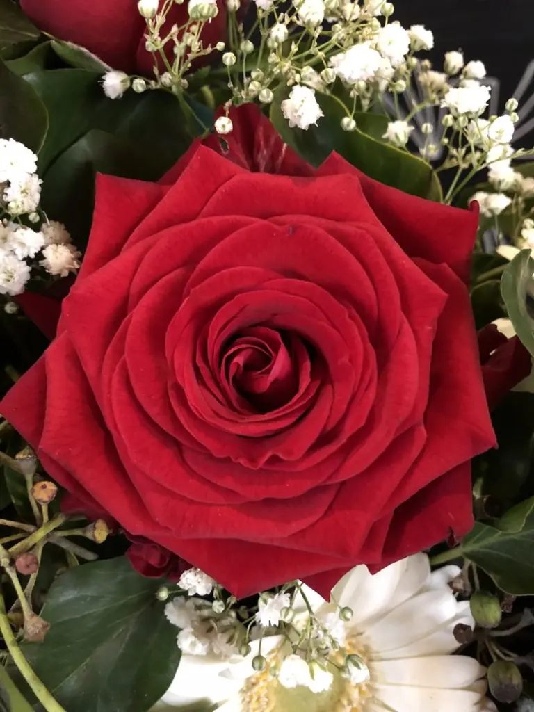 Condolence image of Dirk
