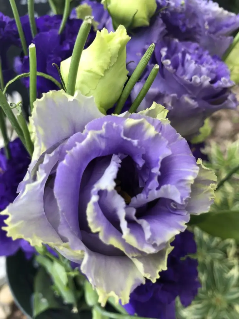 Condolence image of Dirk 