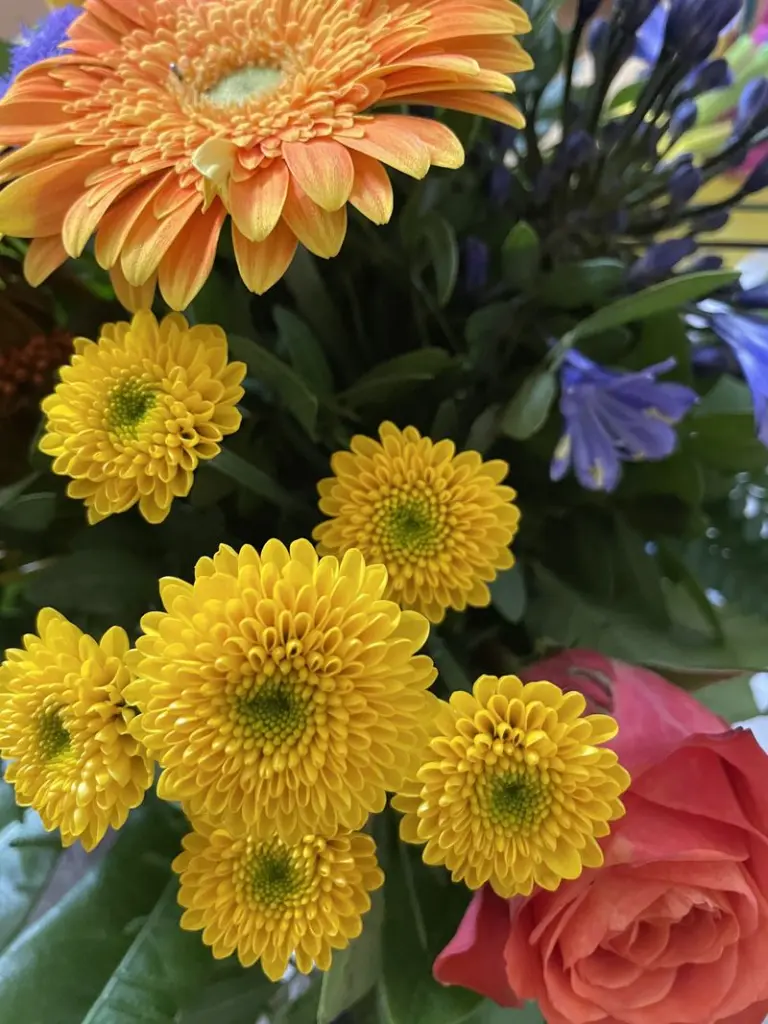 Condolence image of Dirk
