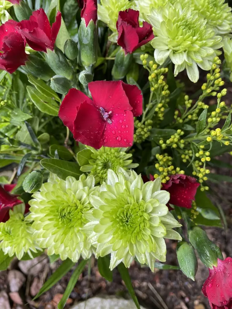 Condolence image of Dirk