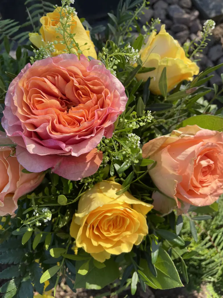 Condolence image of Dirk