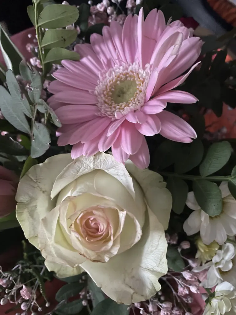 Condolence image of Dirk