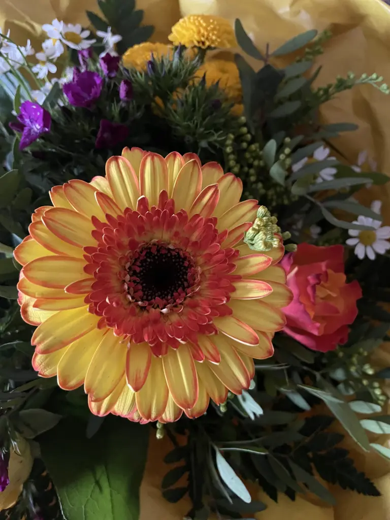 Condolence image of Dirk