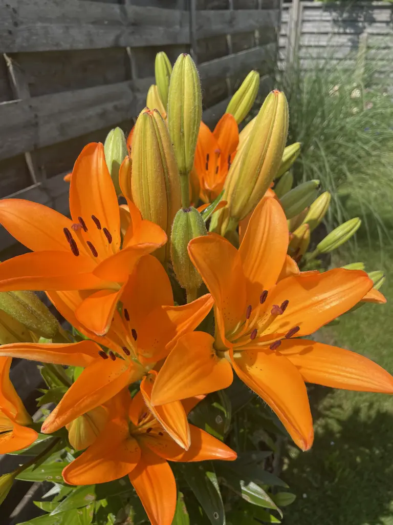 Condolence image of Dirk
