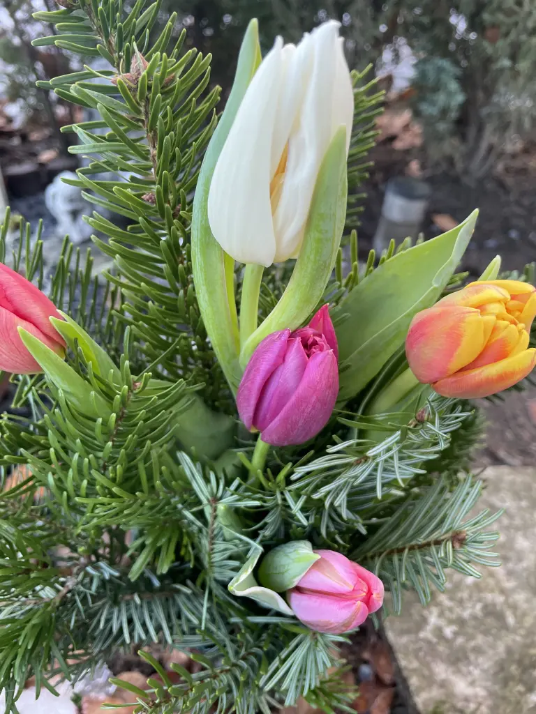 Condolence image of Dirk