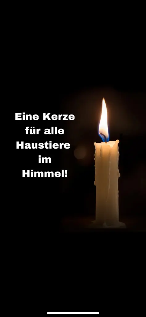 Condolence image of Dirk