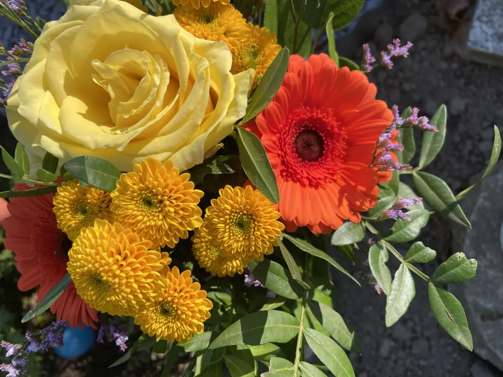 Condolence image of Dirk