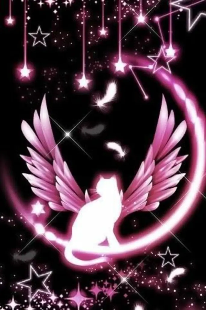 Condolence image of Unbekannt