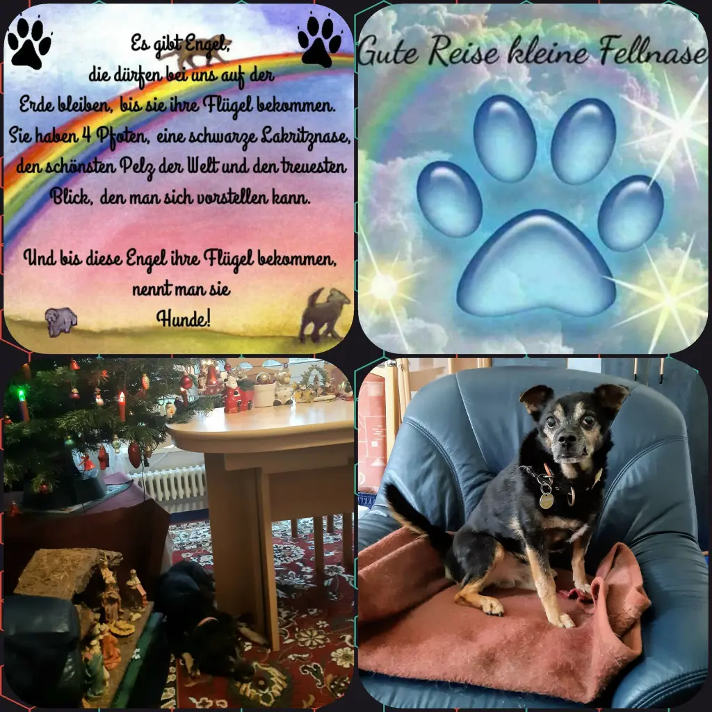 Image from Balu