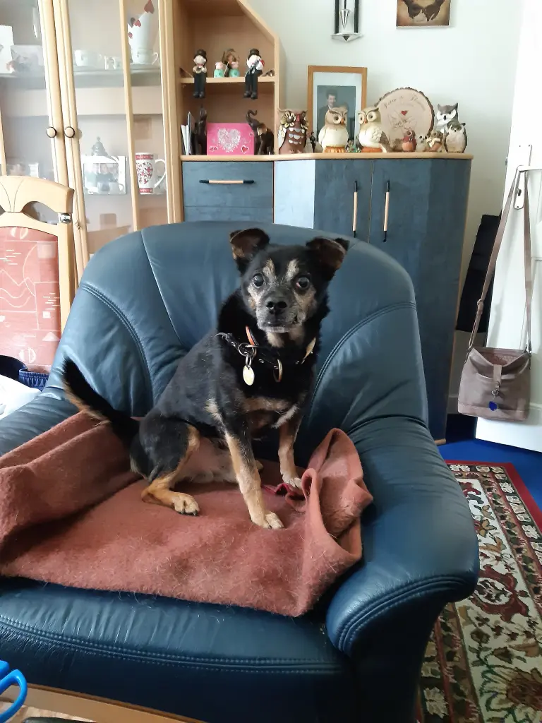 Image from Balu