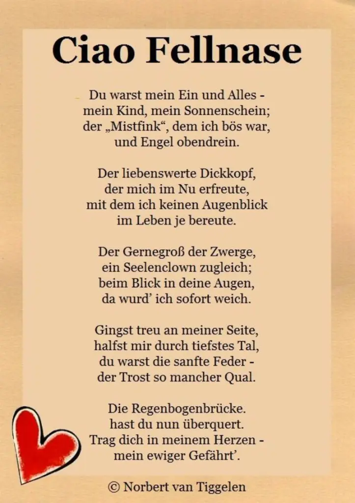 Condolence image of Andrea mit Minki im ❤ gest.19.10.2020