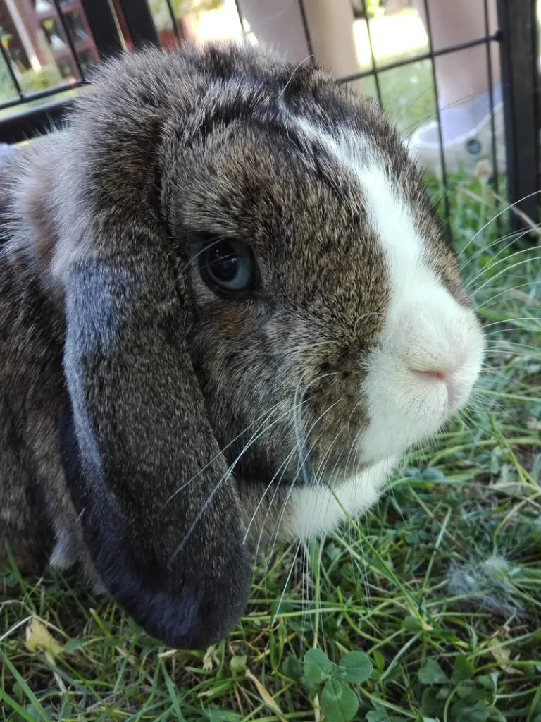 Andachtsbild von Für die hübsche Moni♥️